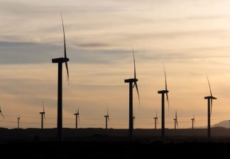 Rows of wind turbines generating renewable clean energy in Egypt